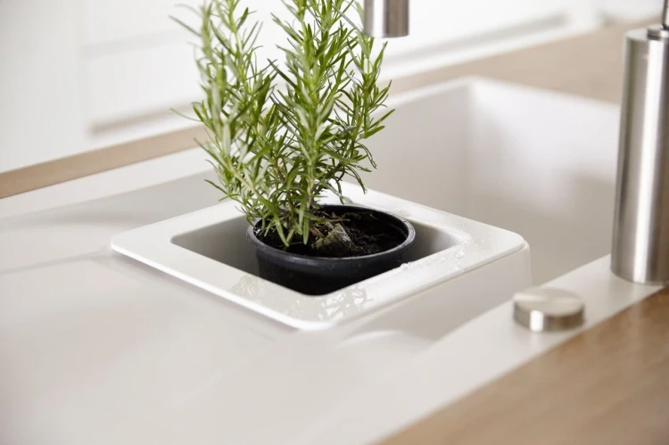 9a23db885e3ee86fa113c05491232403